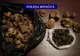 Patru kilograme de trufe, confiscate în Gorj