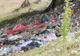 Primăria Novaci amendată pentru gunoaiele de pe Transalpina