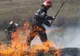 Amenzi usturătoare pentru cei care provoacă incendii de vegetație