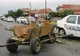 A tăiat copaci din pădurea statului