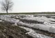 Terorism agricol în Gorj. Cultura de varză a unui consilier, distrusă de rivalii politici