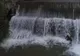 Salvamontiștii gorjeni au eliberat un câine care era prins de două zile în apele râului Sohodol