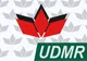 Cum a reușit UDMR să ia aproape o mie de voturi în Gorj