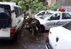 Trafic blocat pe un important drum din Gorj, după ce un copac a fost rupt de un fulger