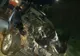 Accident în Gorj: A intrat cu mașina într-o turmă de oi