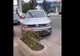 Deputatul PSD de Gorj Elvira Șarapatin, amendată pentru o parcare neregulamentară
