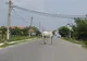 Un microbuz cu călători a lovit un cal într-o comună din Gorj