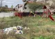 O comună din Gorj, amendată aproape săptămânal pentru gunoaie