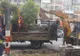 Primăria Târgu Jiu scoate copaci pentru a face loc mașinilor