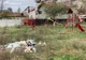 Apare harta interactivă a gunoaielor din Gorj