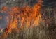13 incendii de vegetație, în Gorj