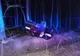 Un șofer în vârstă de 35 de ani a murit după ce a intrat cu mașina într-un copac