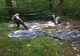 Groapă de gunoi, într-o pădure din Gorj
