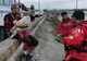 Gorj: Pui de lebădă salvat de salvamontişti