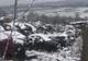 Dezmembrări auto ilegale, într-o comună din Gorj. Garda de mediu a aplicat amenzi