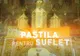 PASTILA PENTRU SUFLET - Ce înseamnă "condac" - Toți credincioșii trebuie să știe acest lucru