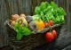 Legume şi fructe, din fermă pe masa consumatorului. Un grup de fermieri a reuşit să dezvolte o aplicaţie