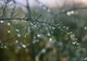 VREMEA 15 MAI. UȘOARĂ ÎNCĂLZIRE ÎN SUD ȘI EST, INSTABILITATE ACCENTUATĂ ÎN VEST ȘI NORD 