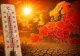 România, lovită de un nou val de caniculă. Urmează 3 zile de foc: temperaturile vor urca la peste 38 de grade