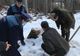 Doi pădurari din Gorj, pedepsiți de șefi după ce au descoperit furturile de lemne