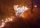 Incendiu de vegetație puternic la Câmpu Mare