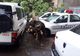 Trafic blocat pe un important drum din Gorj, după ce un copac a fost rupt de un fulger