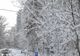 Două coduri galbene de ninsori, vânt și polei, valabile până luni, 1 februarie