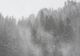 Ninsori și temperaturi scăzute, din nou, în România