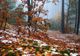 Temperaturi scăzute în majoritatea zonelor țării astăzi