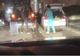 Decizie în cazul infirmierei de la Spitalul Târgu Jiu, filmată când încărca varză într-o maşină