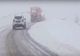 Gorj: A nins abundent în zona montană (VIDEO)