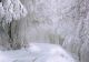 Atenționare meteo de vreme severă, începând de astăzi