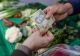 Scumpirile schimbă coșul de cumpărături în Postul Paștelui: românii cumpără tot mai puțin